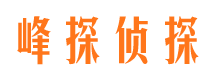 岢岚市侦探